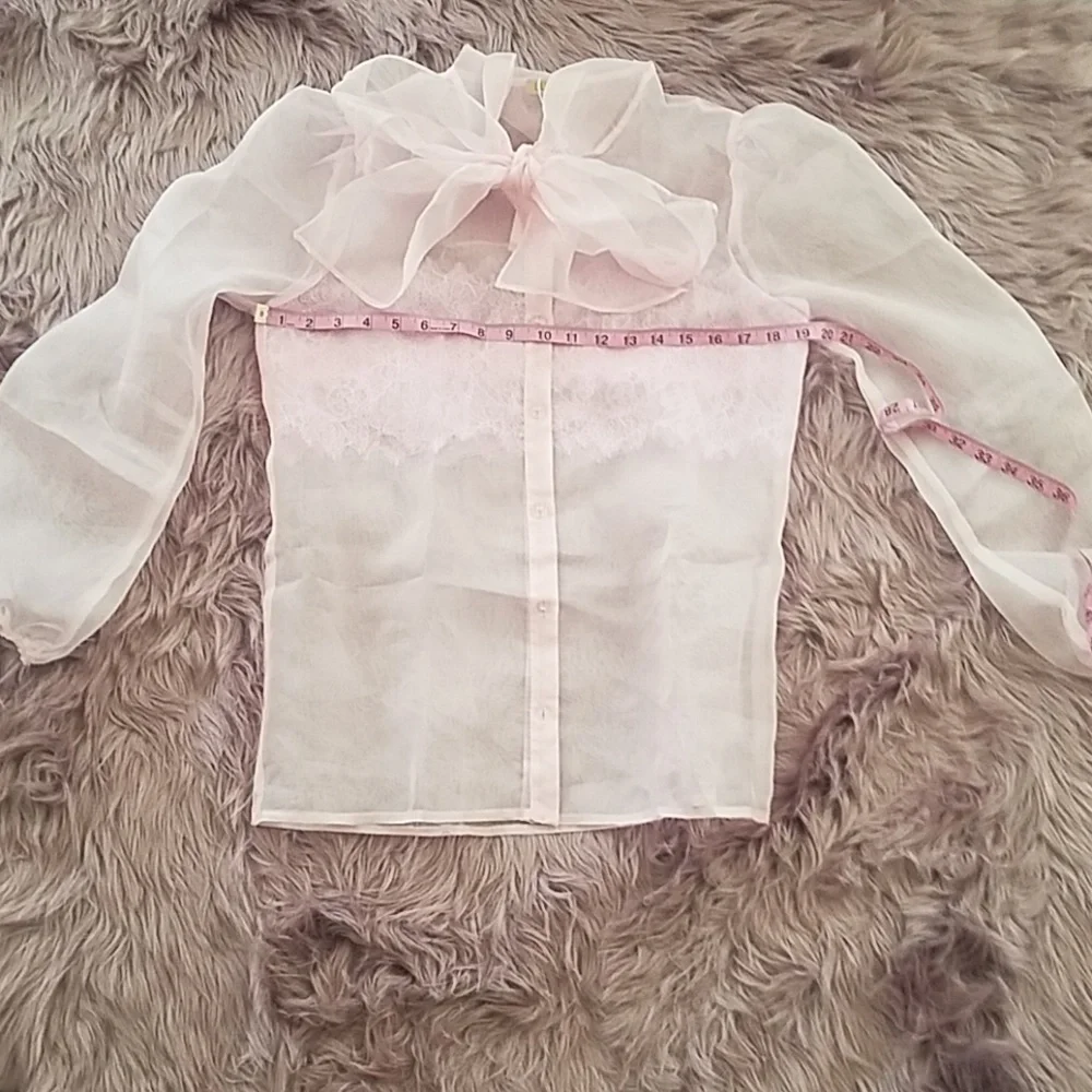 Sheer Lace Blouse in Blush - Picture 2 of 5